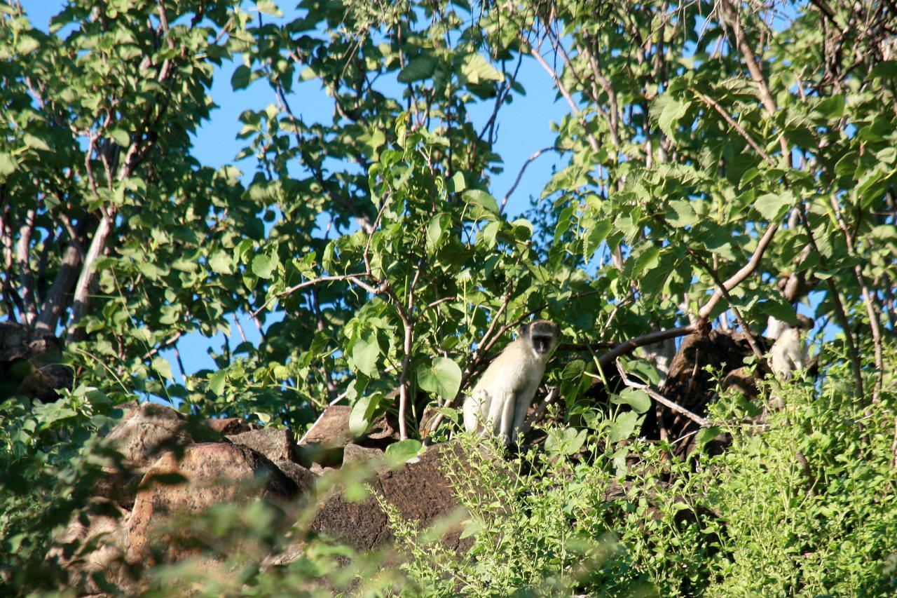 Ghaub Nature Reserve & Farm - One Namibia Grootfontein Luaran gambar