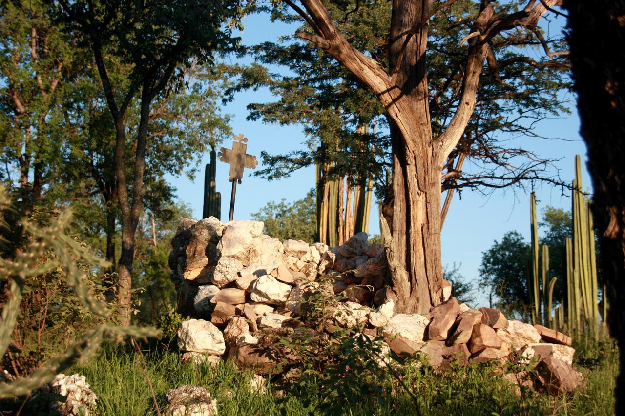 Ghaub Nature Reserve & Farm - One Namibia Grootfontein Luaran gambar