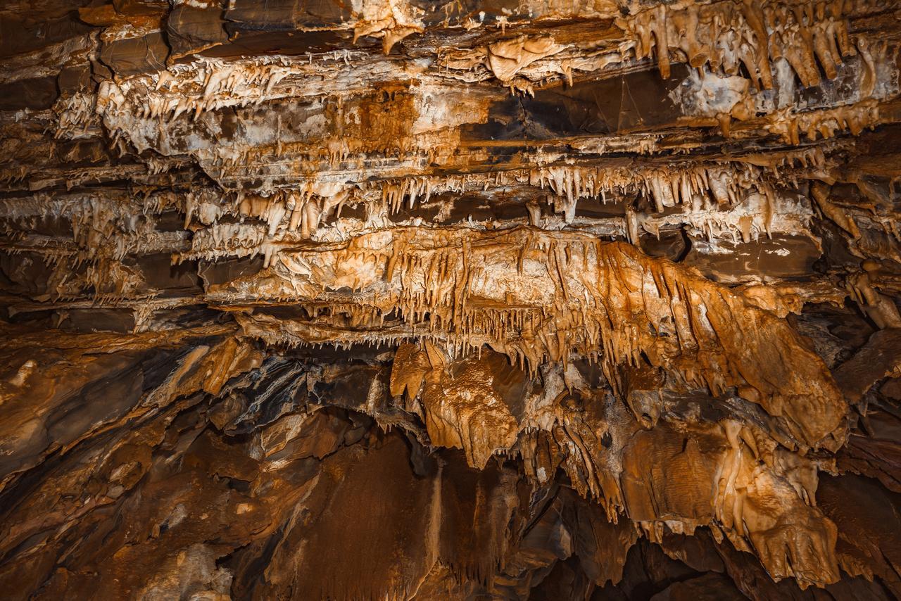 Ghaub Nature Reserve & Farm - One Namibia Grootfontein Luaran gambar